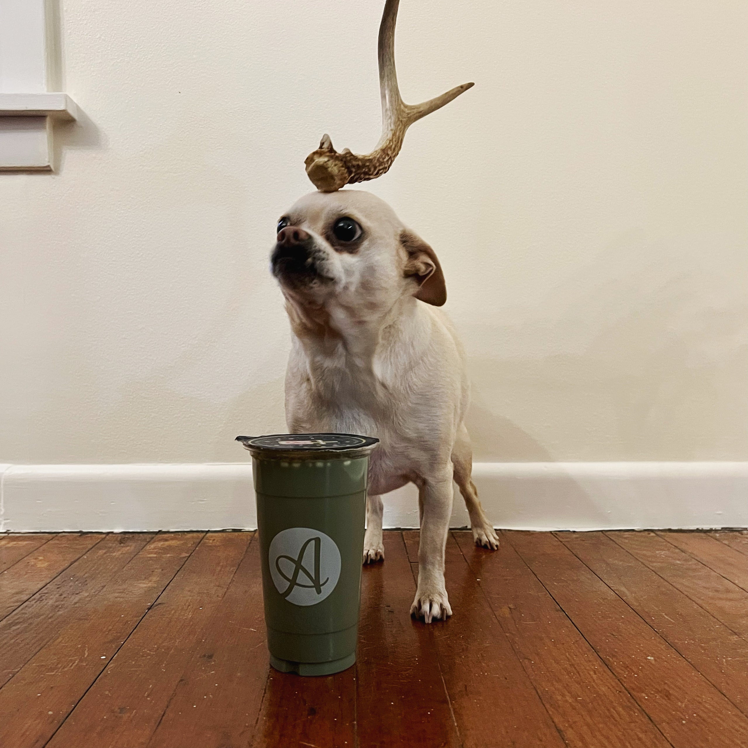 Grinch Cocoa We're hiring! Check out all jobs